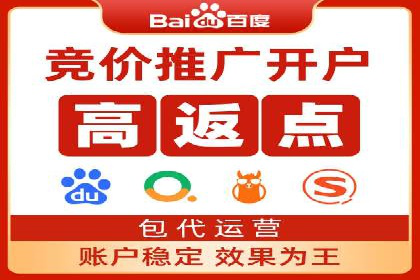 百度SEO推广成功案例：品牌知名度提升